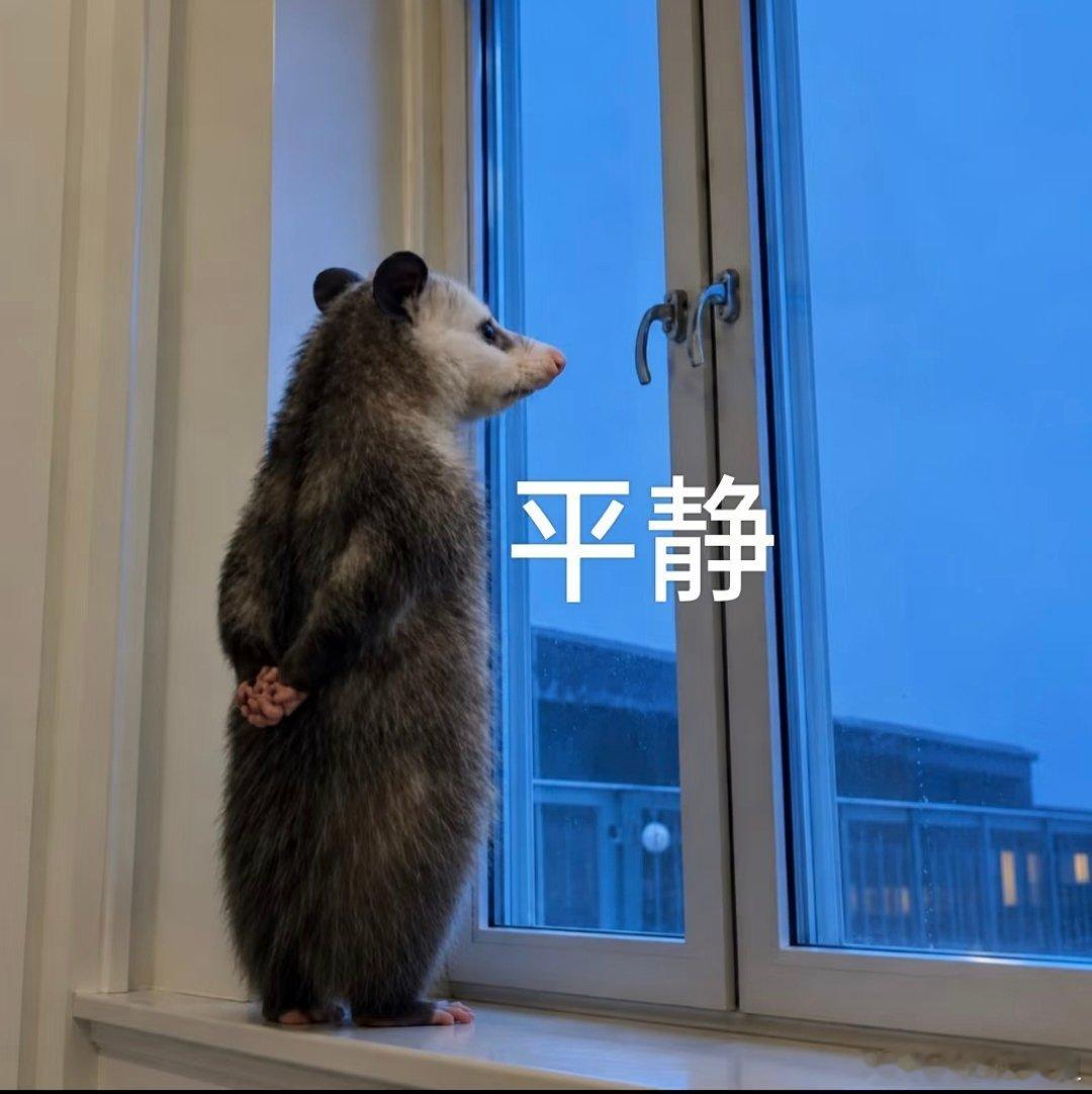 暑假精神状态靠一堆短剧稳住真的只有暑假吗我无时无刻都需要短剧稳住我的精神状态啊 