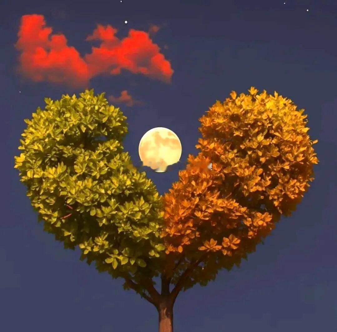 自律是一场与自己的对话，当其变成习惯，你就会发现真正的自由与快乐。晚安，愿你在自