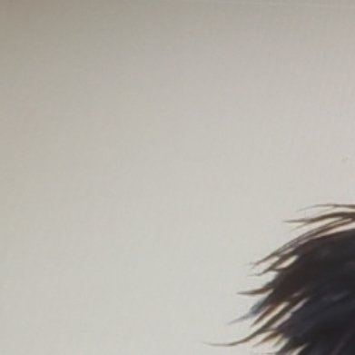 种植石榴的方法🐑ss石榴是一种既美观又实用的果树，其果实不仅美味可口，还富含营