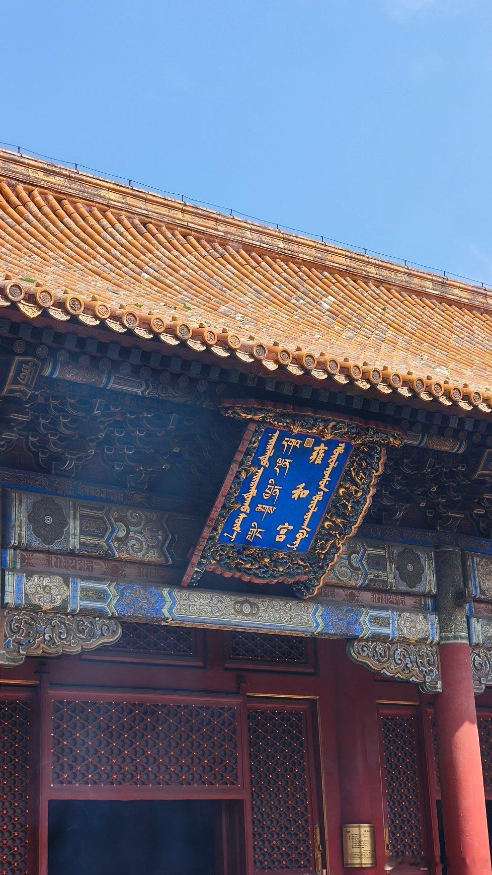 分享图片 ​​​