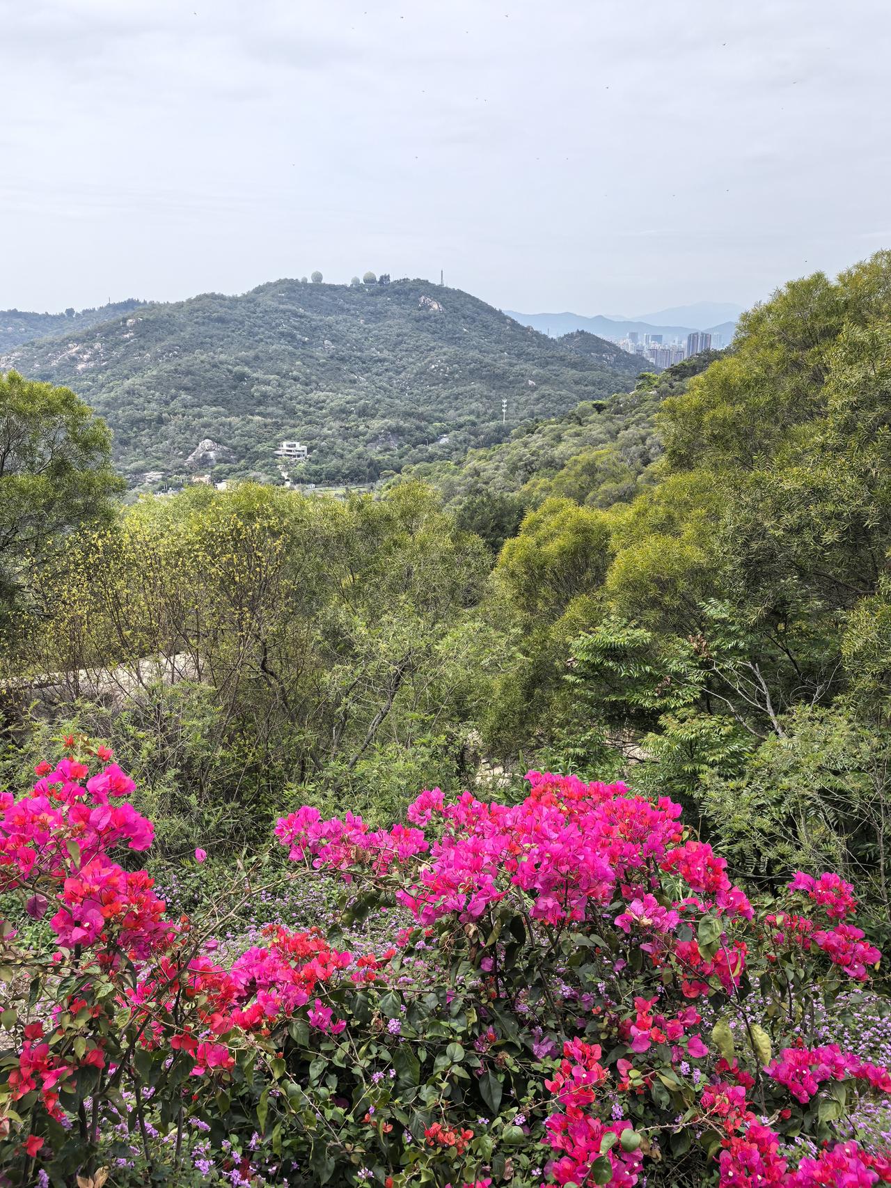 清明，踏青。
路过一石洞，小憩，做半日神仙。