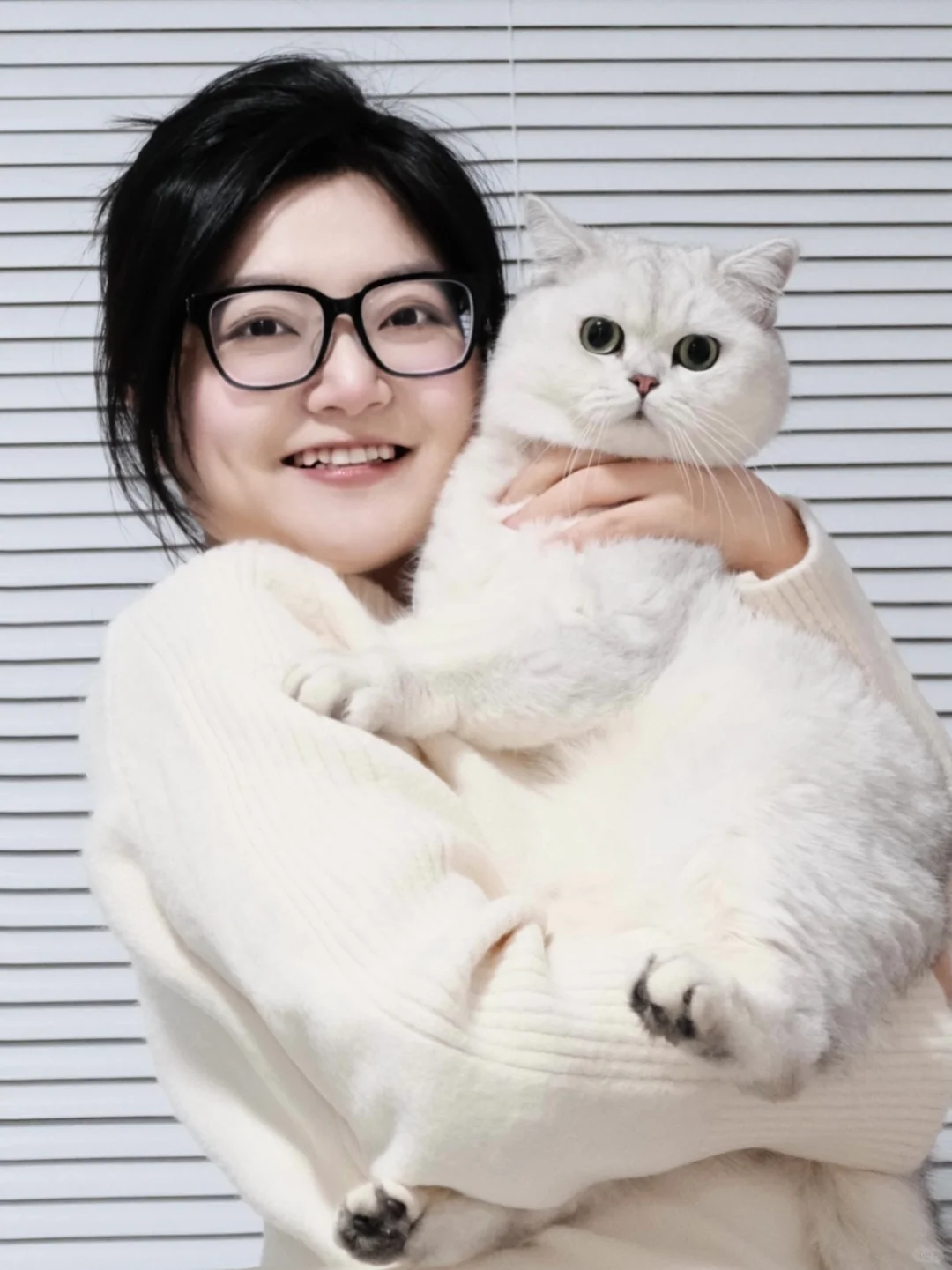 ✨是人类需要小猫咪ya
