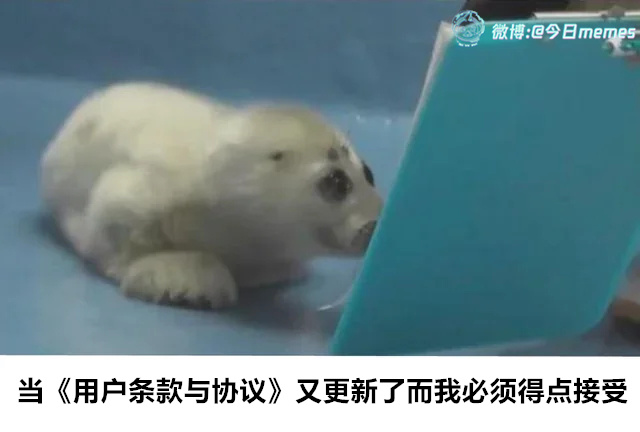 来呗那就（9gag）今日meme 今日memes