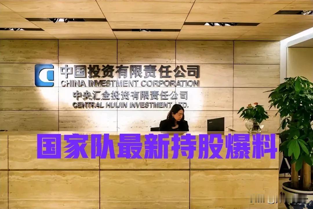 中央汇金二季度持仓变动报告来了：

增持了华夏上证50etf  164亿份

增