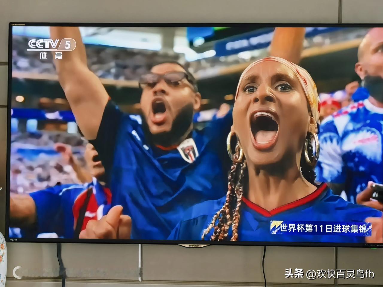 不服不行，世界杯的每一个进球都会让人形似颠狂忘乎所以。瞧这对男女
刚刚还安静似僧