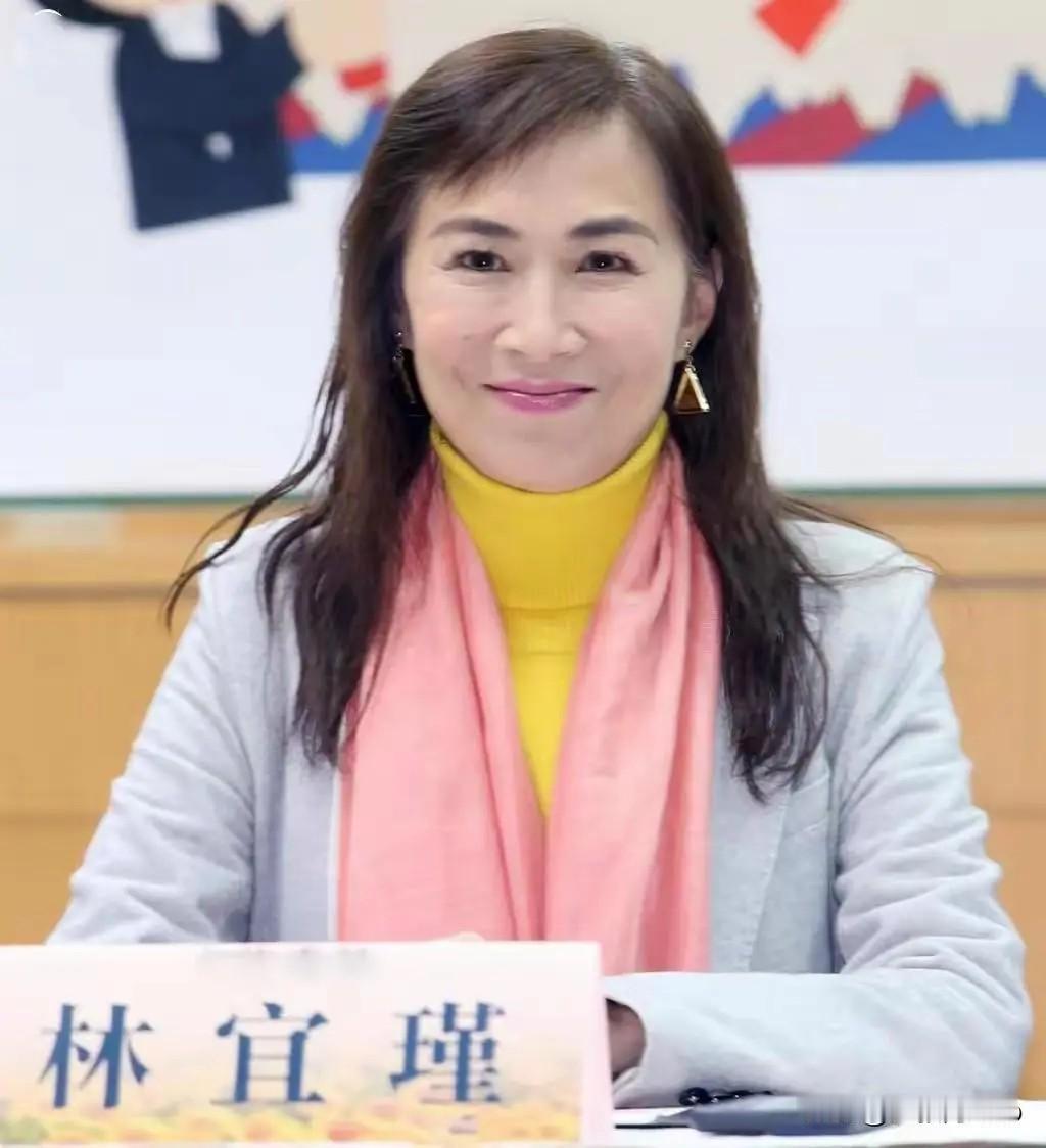 林宜瑾"涂改案"被曝！蓝营立委揭内幕，台当局"台独"魔咒再现？
 
1月5日，民