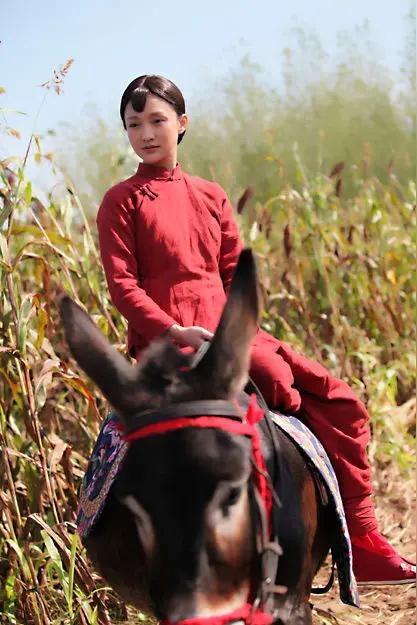 三十七年沉默背后：《红高粱》的农民叙事之争

一部被誉为“东方美学丰碑”的电影，