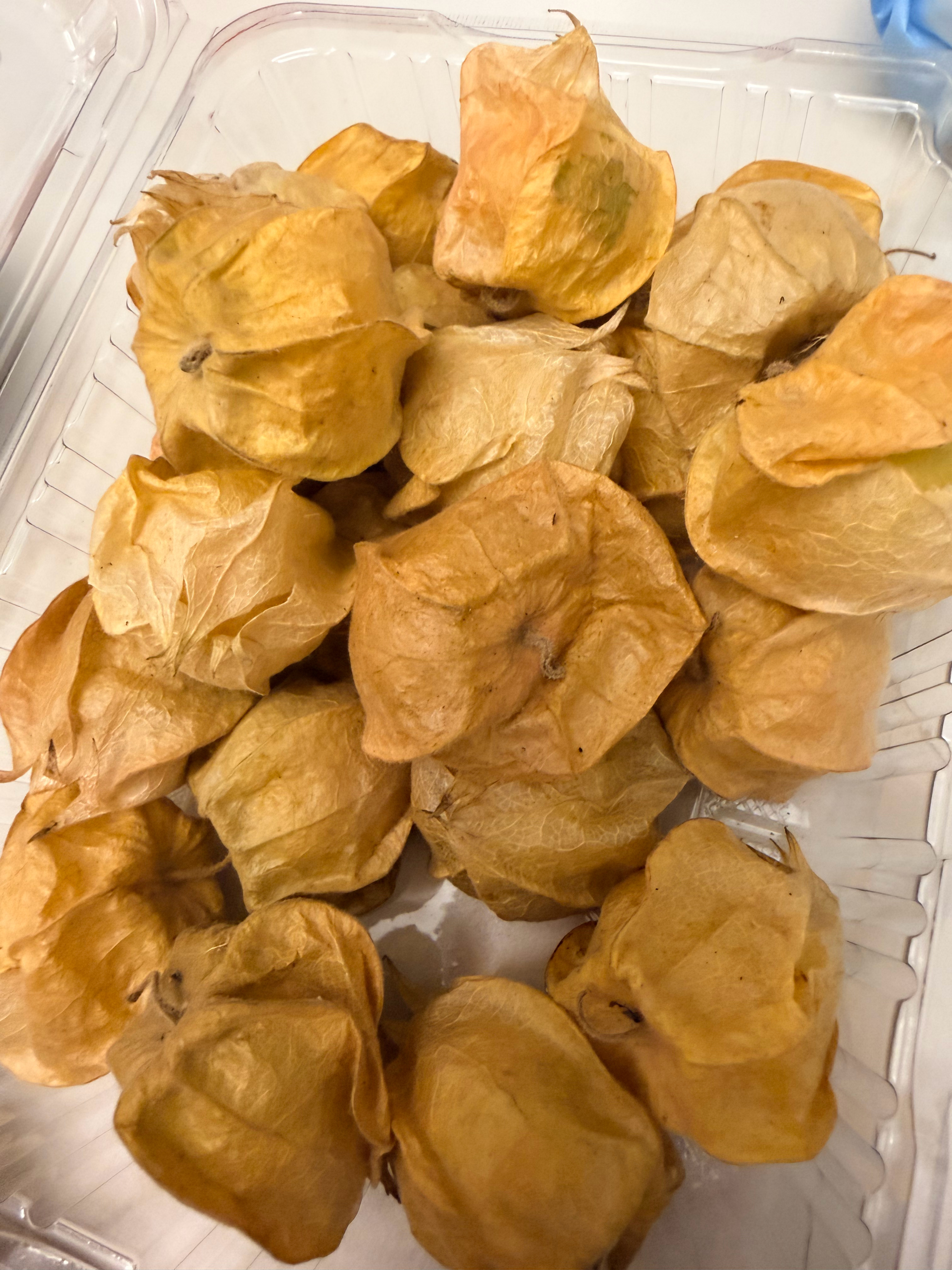姑娘真好吃😋 