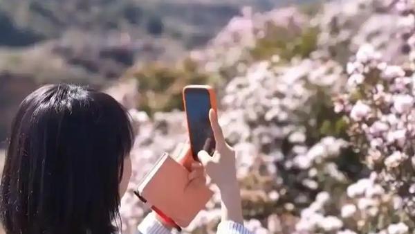 自4月1日起，新版《旅游规划通则》正式实施，为旅游行业带来全新变革，让游客的出行