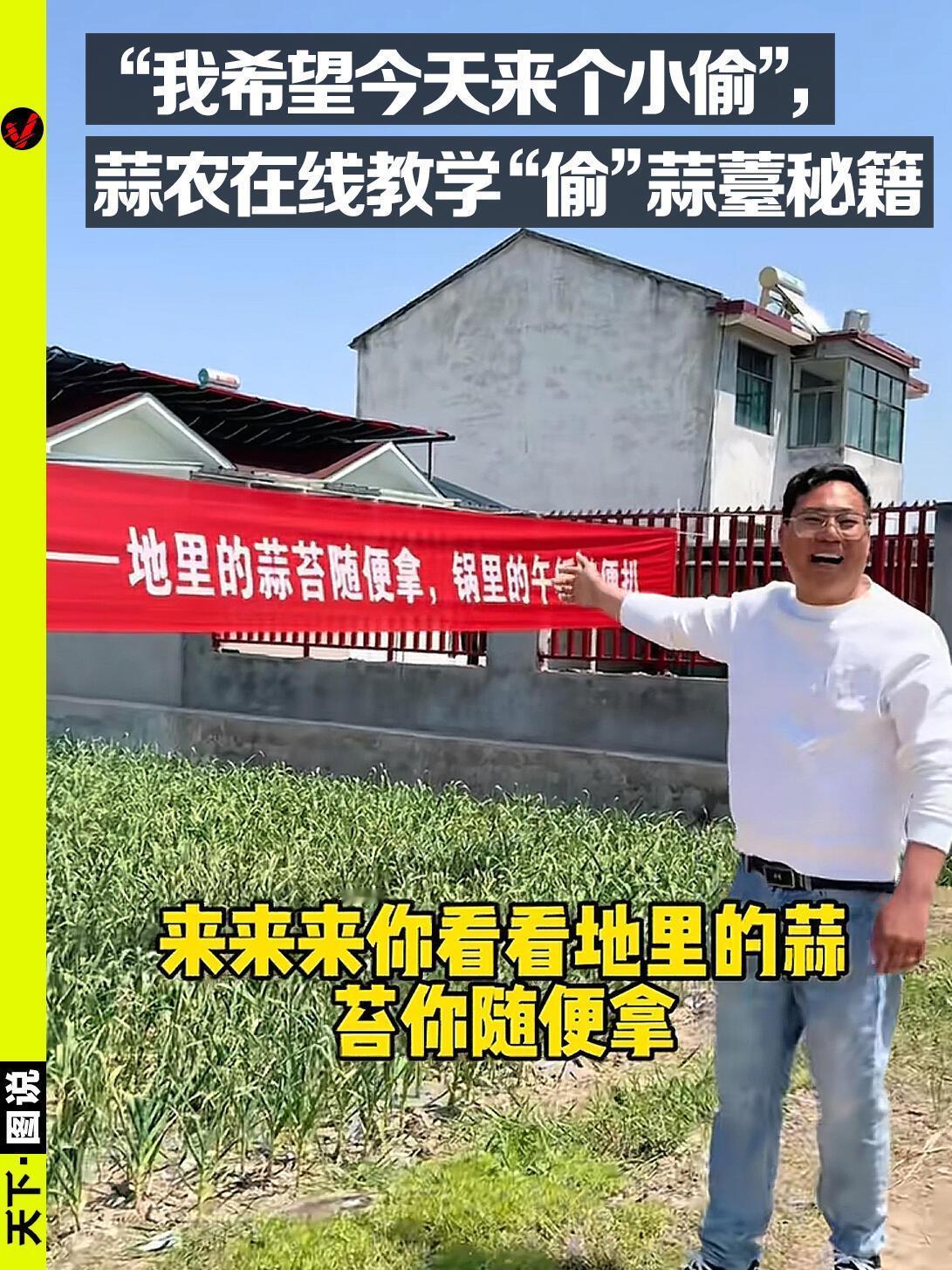 今年这蒜薹，算是把“白给”俩字玩明白了。地里一掐，全是农民的辛酸账：不抽，蒜头长