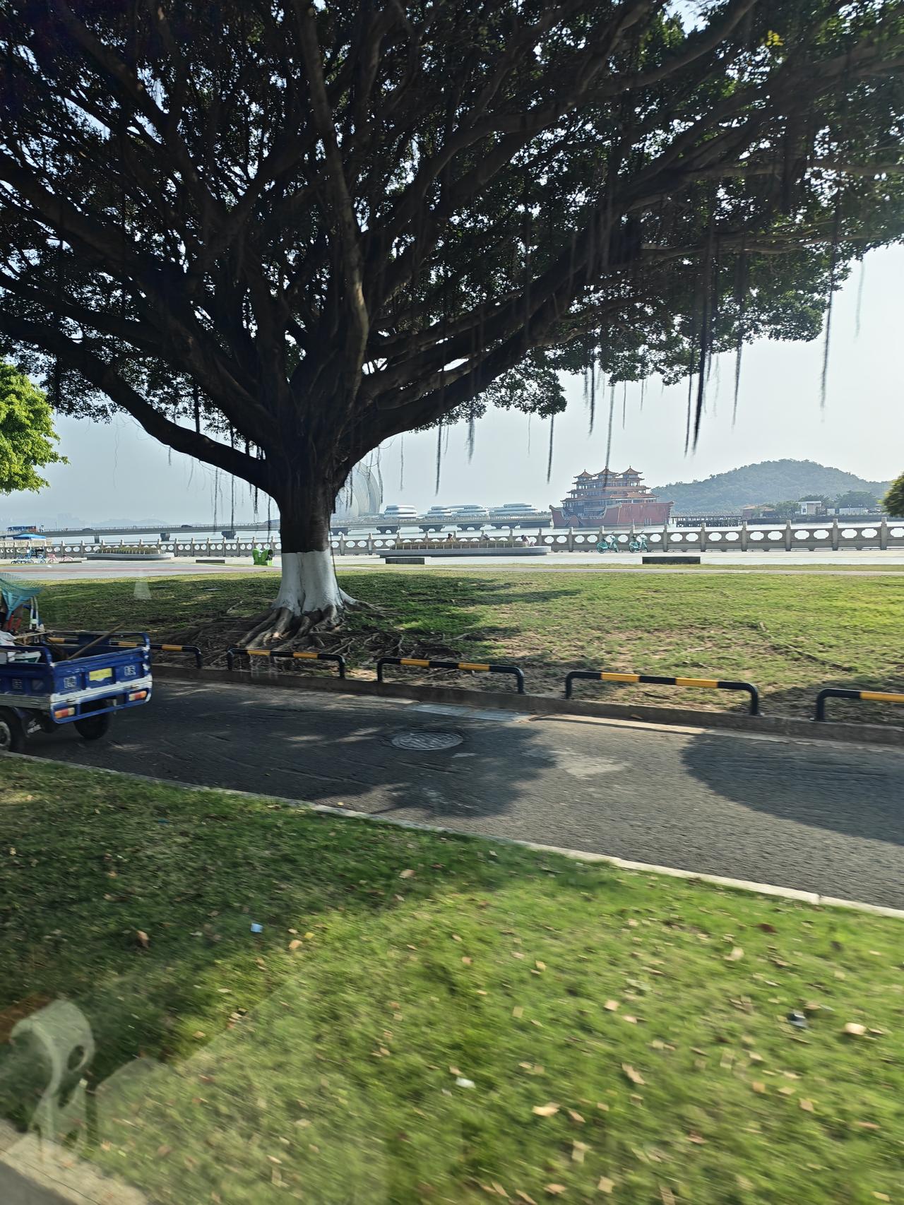 昨天清明，本打算晚上出去给故去的父母烧点纸。可是，看看风太大了，真的不好烧。想想