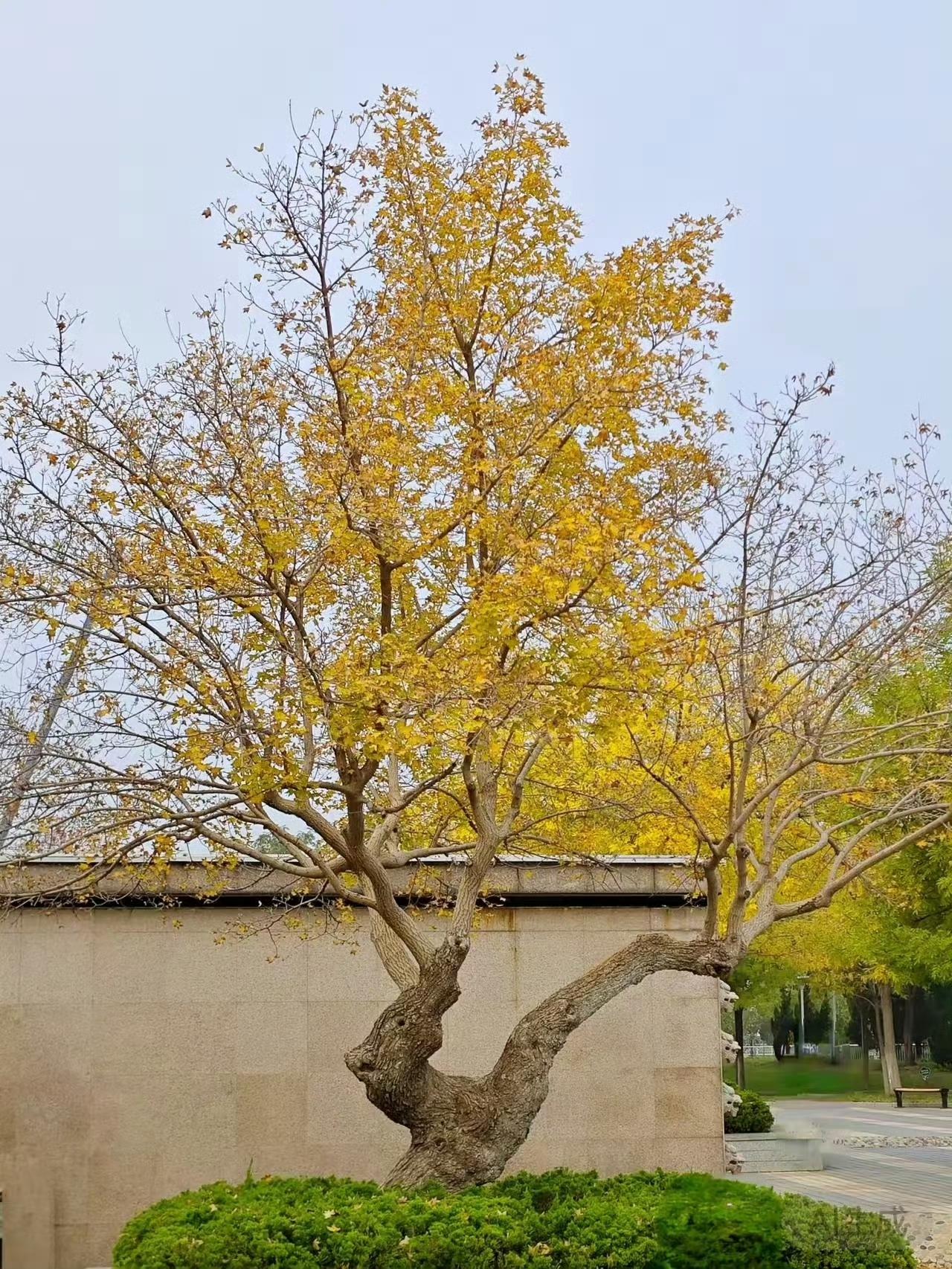 物理上有万有引力，对人来说是能量场的同频共振，能量决定遭遇。道家认为心能引物，所