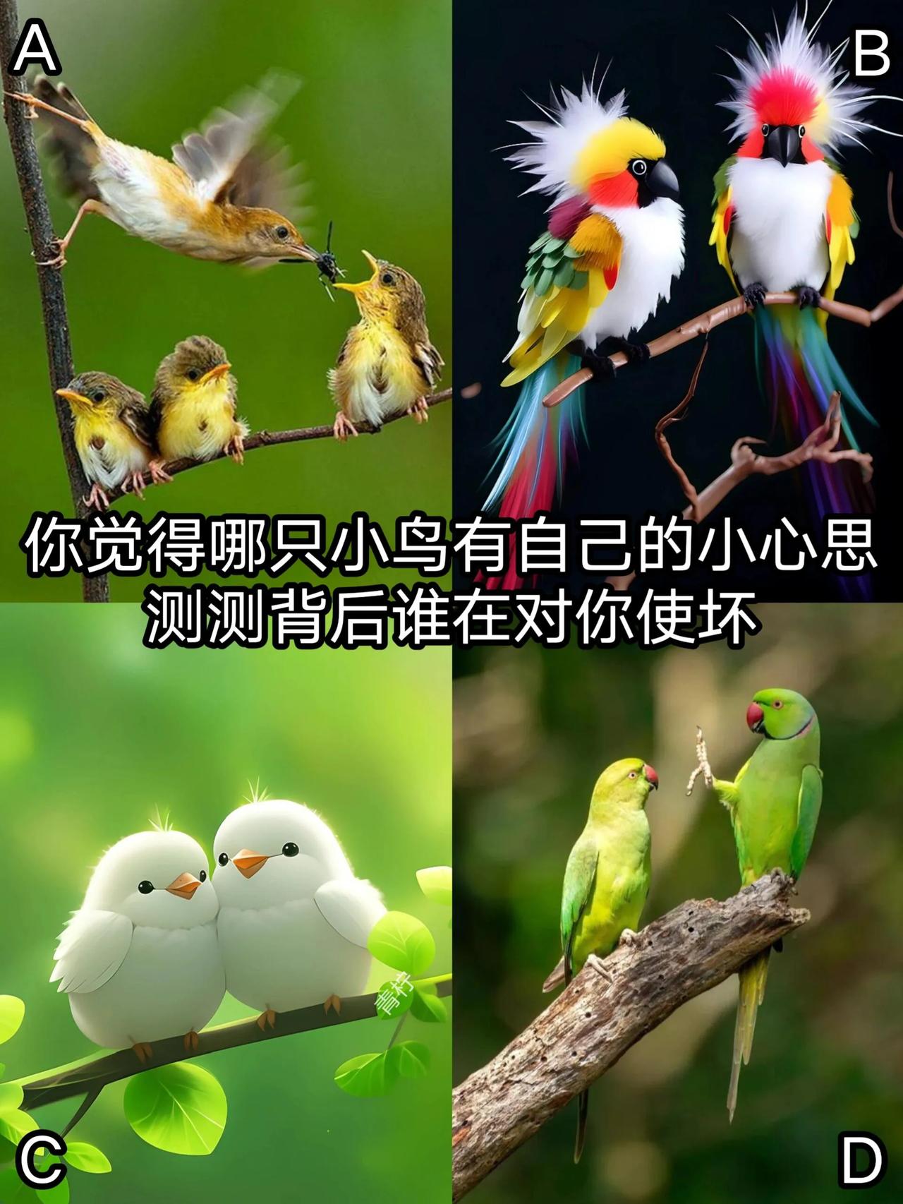测测背后谁在对你使坏？？
你觉得哪只小鸟有自己的小心思？？
看看谁在你背后害你