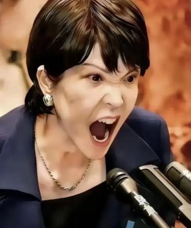 谁也没想到，台积电董事长魏哲家，与日本首相高市早苗会面时直接宣布：台积电熊本二厂