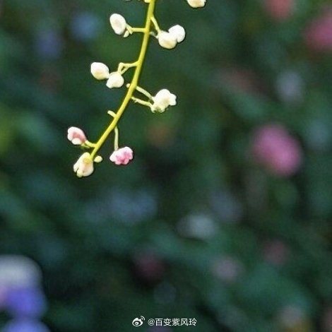 一个人内心恬静，世俗繁琐便不能奈何与你，相信了美好的存在，那你的世界，与你所遇见