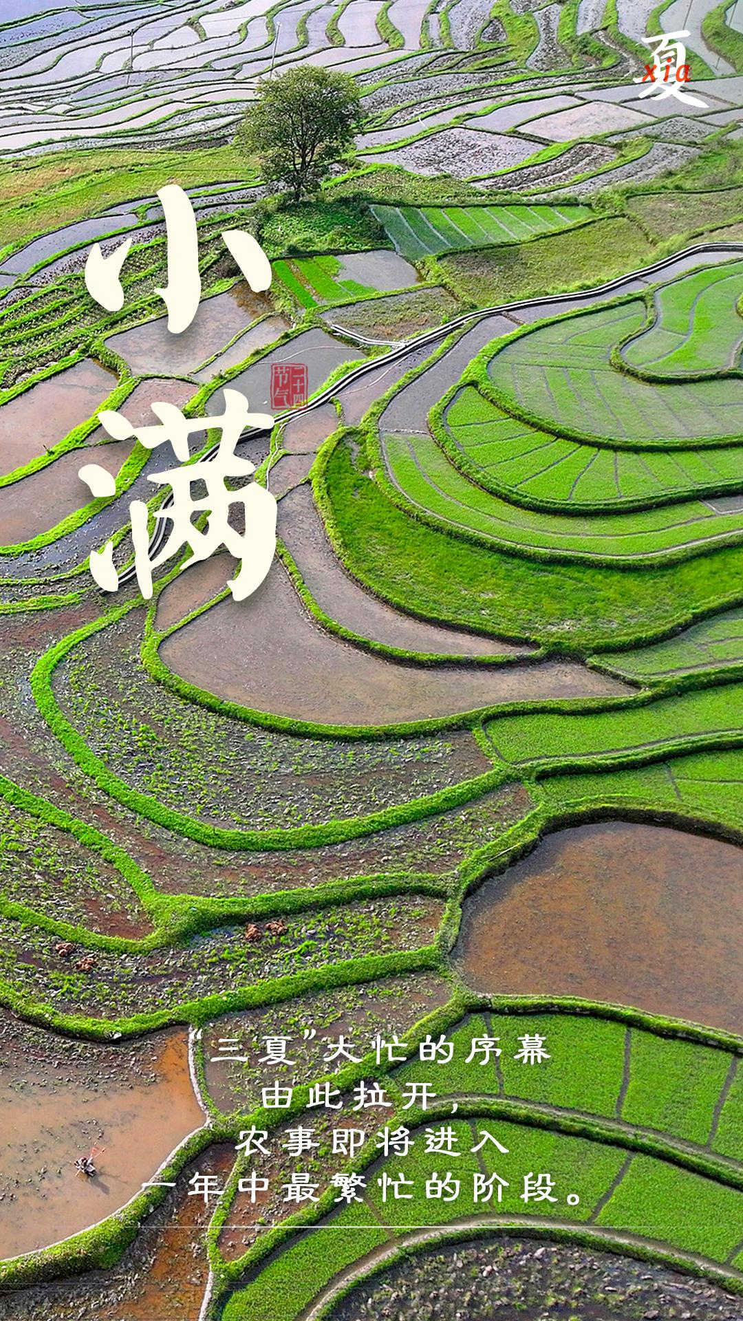 分享你的随手拍的风景
