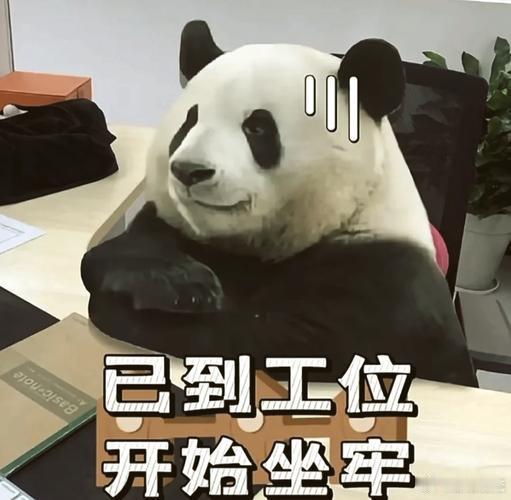 上班我有三点低 我上班，三点低明显得很，困点、累点、饿点都低。睡、动、吃充电两小