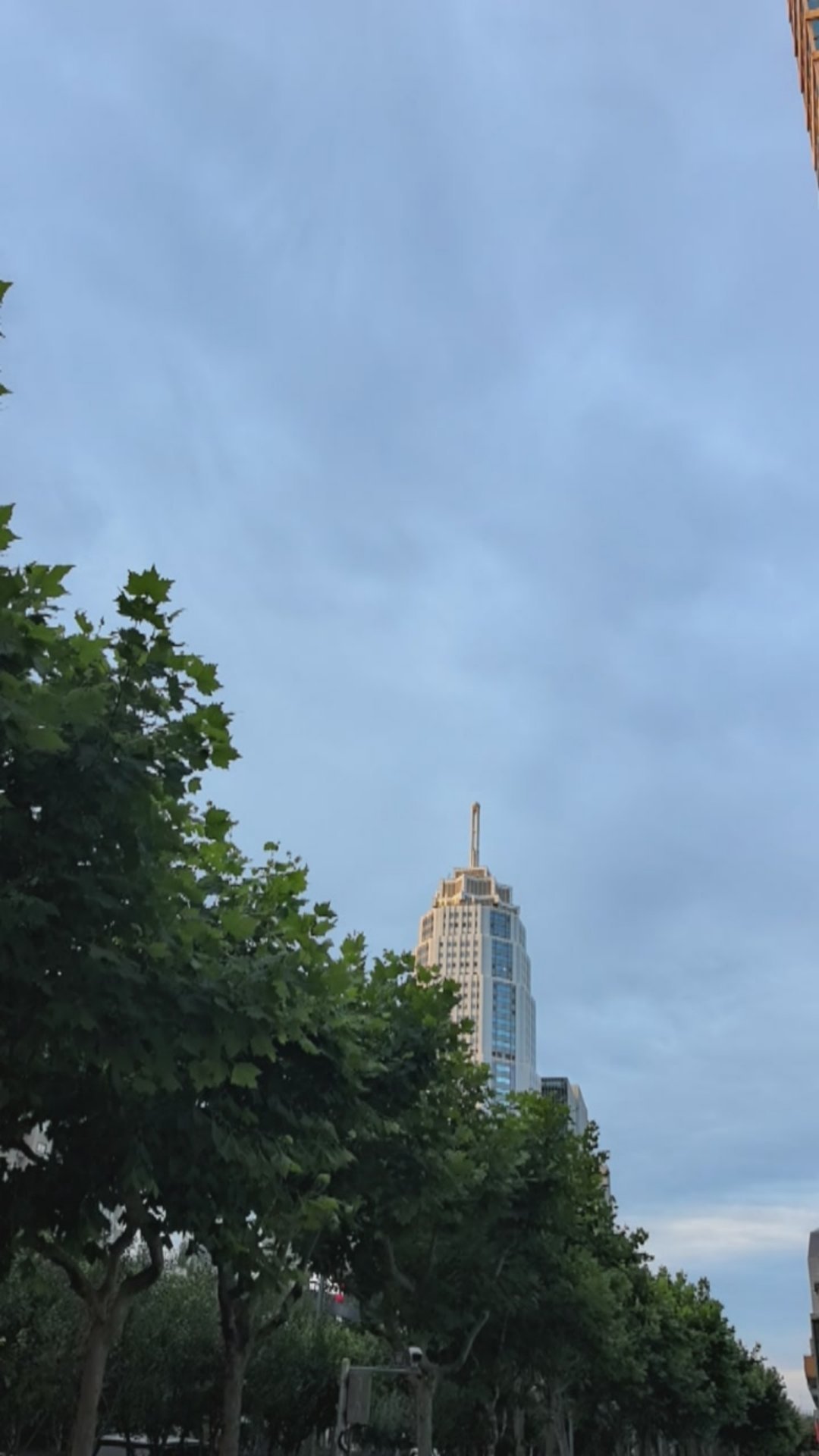 今年社区里，带着年老的父母在上海过夏天的外国家庭，明显比往年多了。 