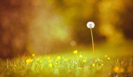 The greatest pleasure in life is doing w