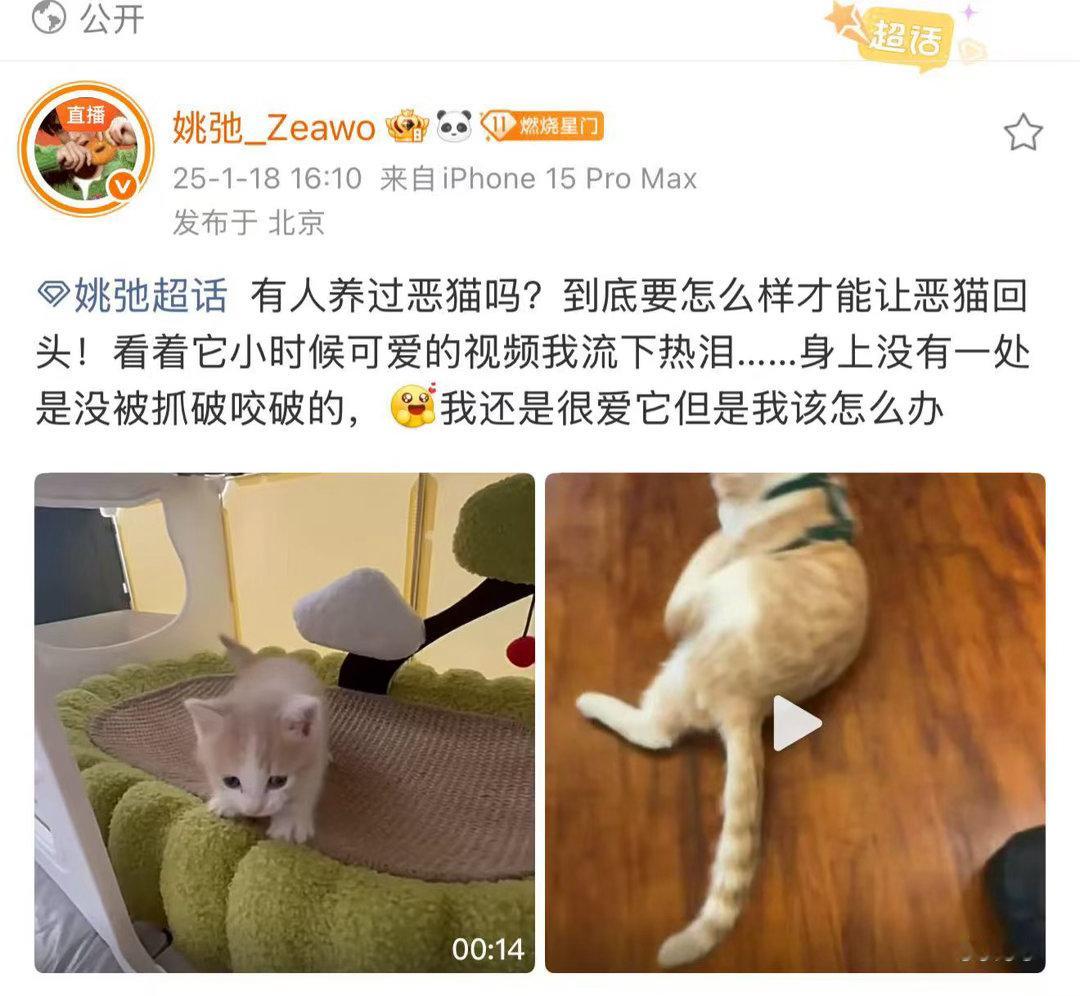 姚弛直播说自己硬脱敏养猫捡到流浪猫舍不得丢，自己过敏就去打针，一打就是200多针