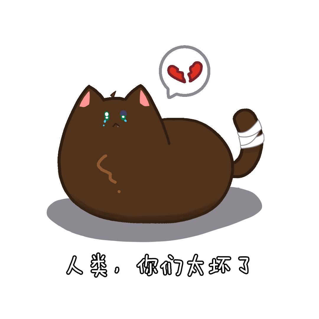 我是6278和6280的糕珠，都怪你们之前在底下一直说他是小🐷，现在好了，我根