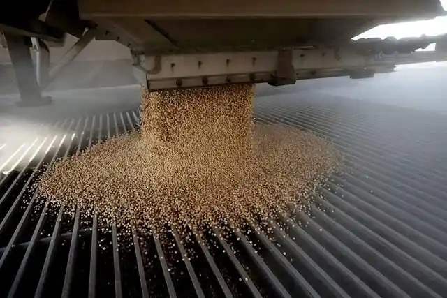 三艘美货轮将装载大豆高粱运往中国 单纯从商业需要上来讲，中国购买美国的大豆高粱对