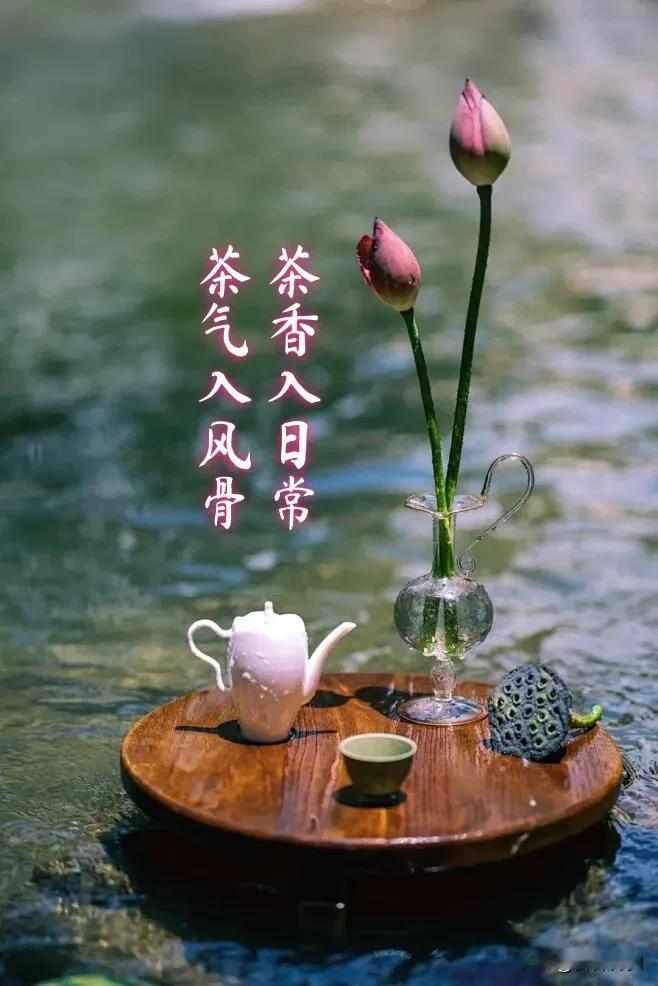 早安✨ 新的一天，愿阳光洒满前路，温柔伴你朝夕。