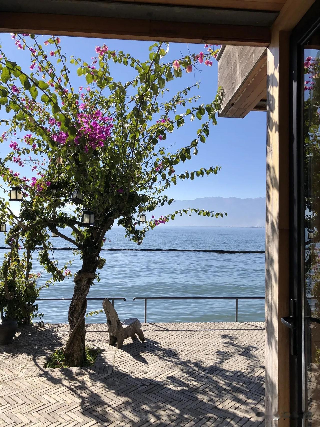 美国的特别检察官，现在成了华盛顿最大的“弃子”。♟️

杰克·史密斯信誓旦旦说手