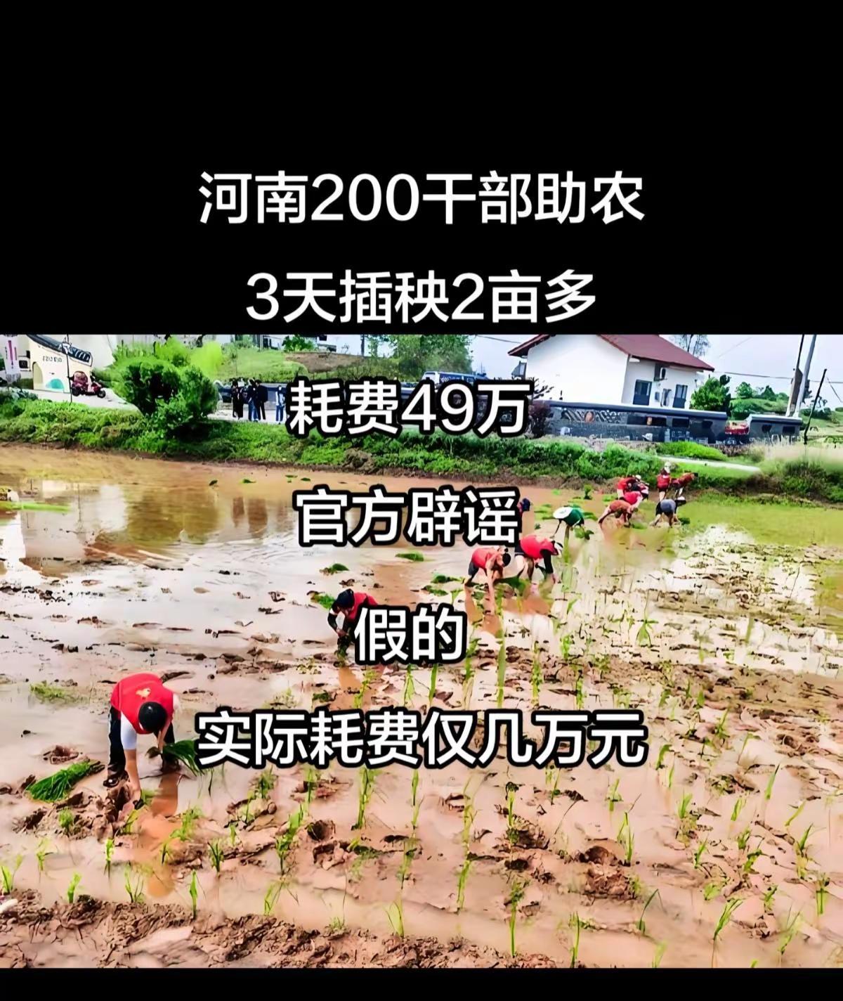 世界史新视角