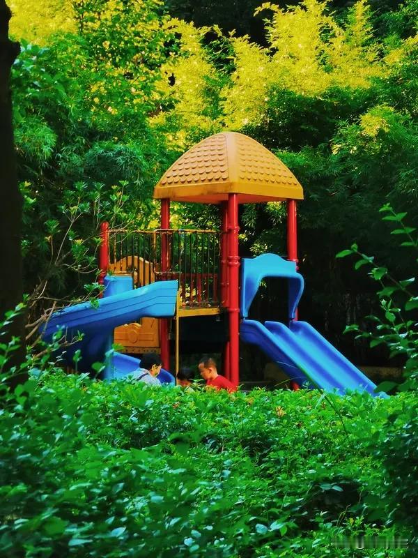 儿童乐园适合开在哪里? 
湖南桑植县城工商局、税务局、中医院附近的地下商场，也许