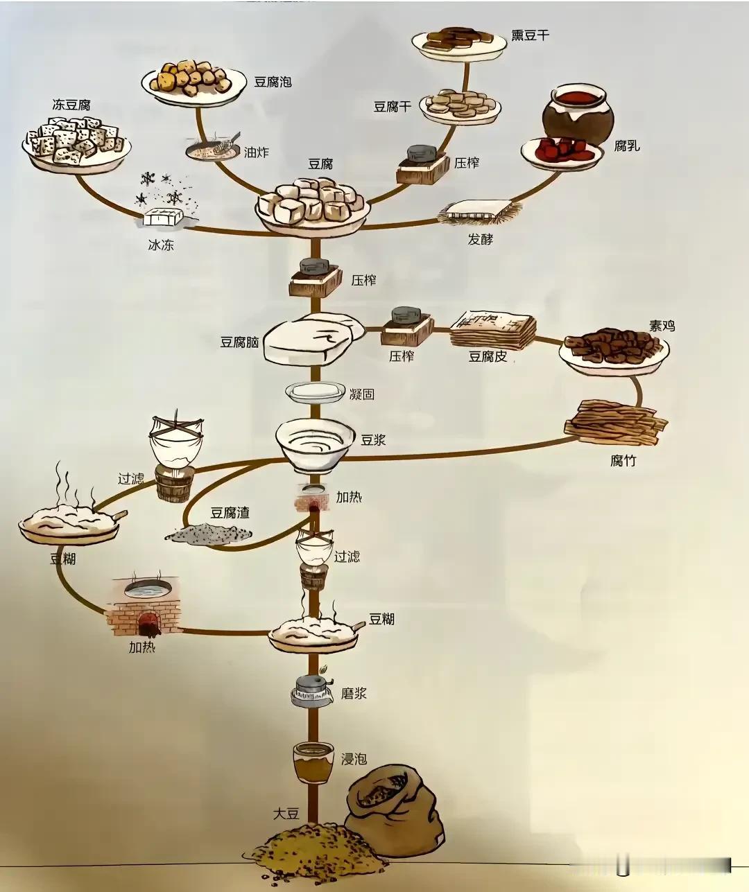 豆腐这个“族谱”还缺什么？豆豉、豆汁？#豆腐来历# #豆腐你们都咋吃# #你爱吃