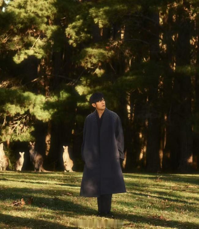 周杰伦报备型艺人实锤了 周董的长红密码：实力+真诚！他的歌火遍大街小巷，他对粉丝