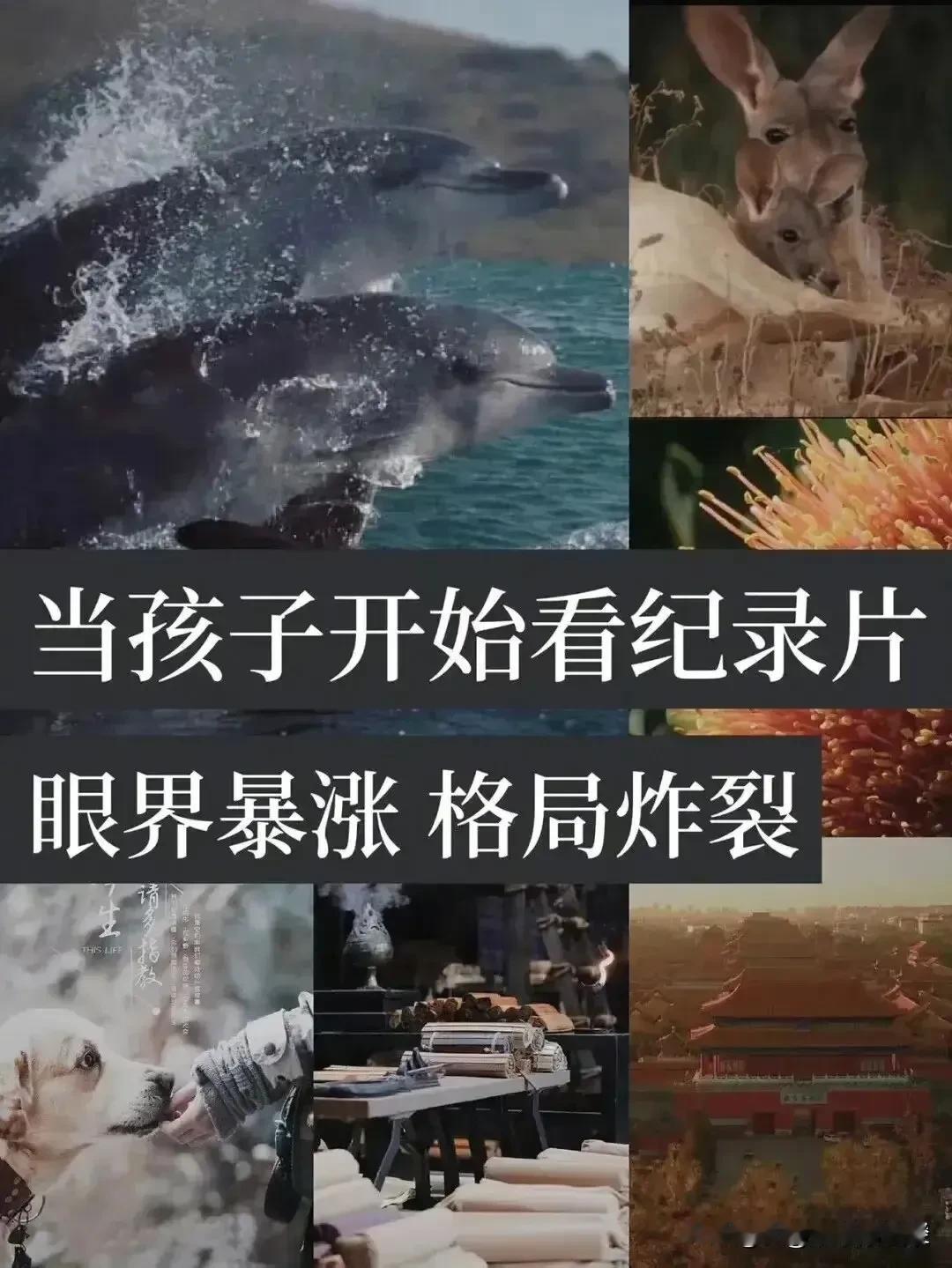 我无意间发现了一同事春节寒假不按套路的方法：她偷偷地把孩子爱看的动画片换成了知识