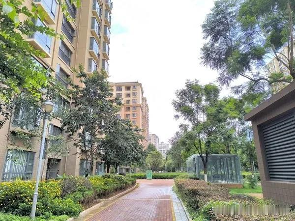 昆明网民向省委书记留言反映西山区某小区开发商违规改造的问题
👉我们是昆明市西山