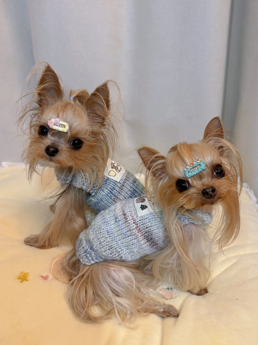 新衣101｜小狗妹们第一件妈妈牌棒针小毛衣