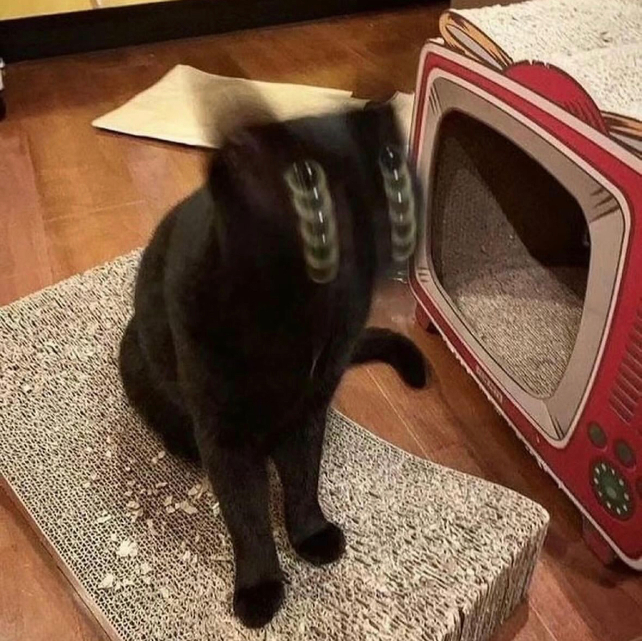 - 