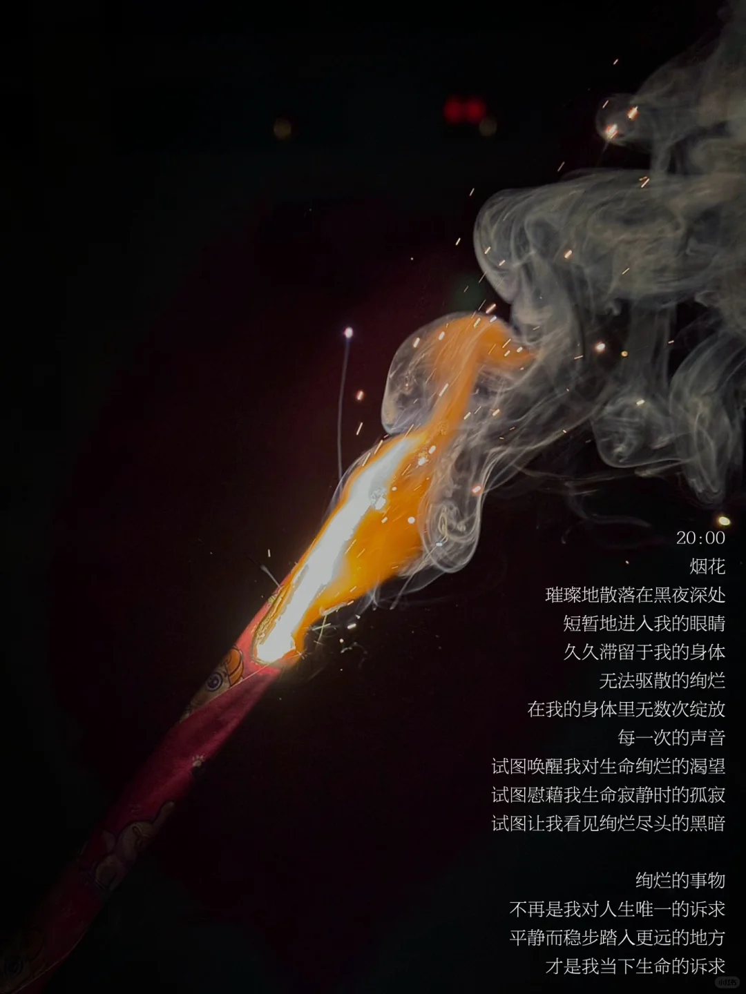 新的一年，我继续成为那个自由而沉默的生命