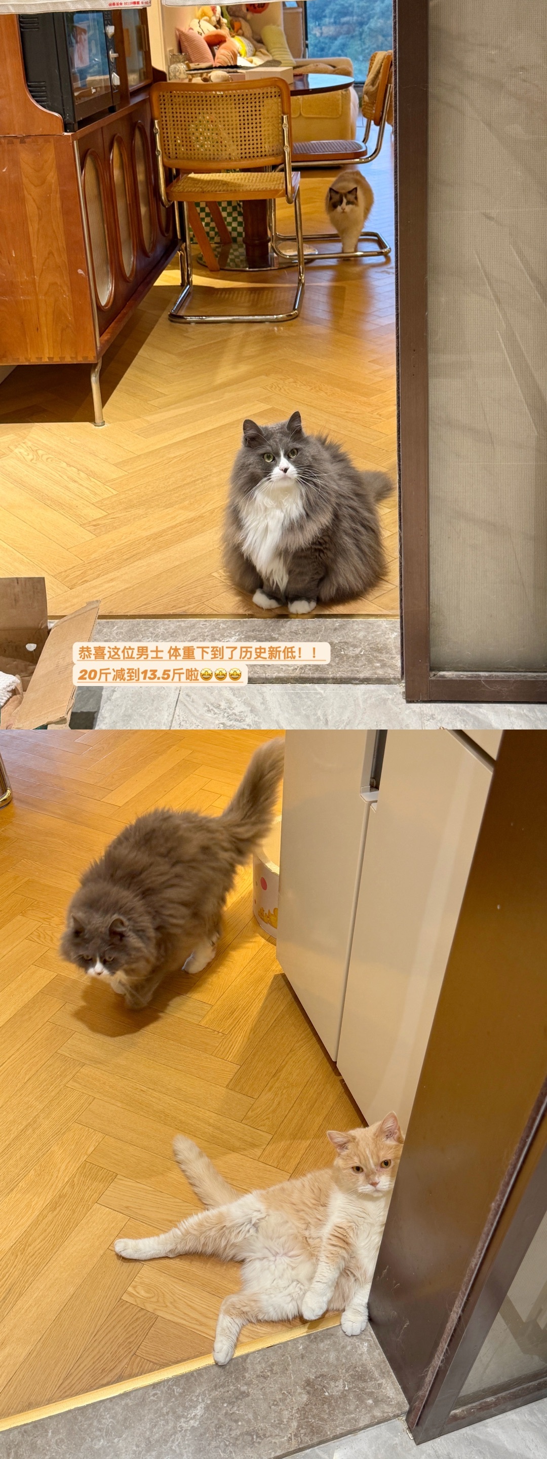 晚安plog～🥄🧂圆圆日记