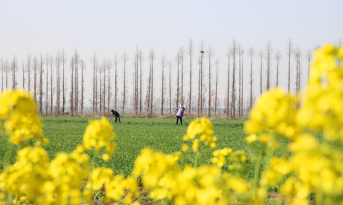 今天是农历三月初三，上巳节，中国最古老的情人节，古时候的青年男女这个时候会踏青、