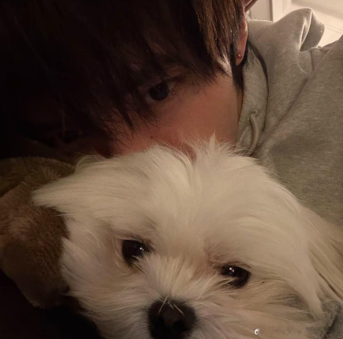 周翊然新鲜自拍，氛围感头像有了，好迷人的眼睛😍😍 