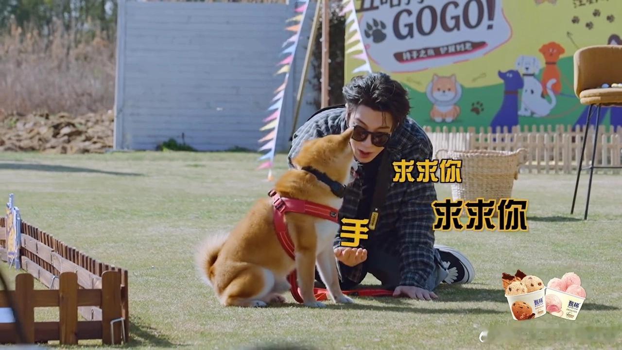 高happy最不给老爸面子的一集，我笑得肚子疼... 