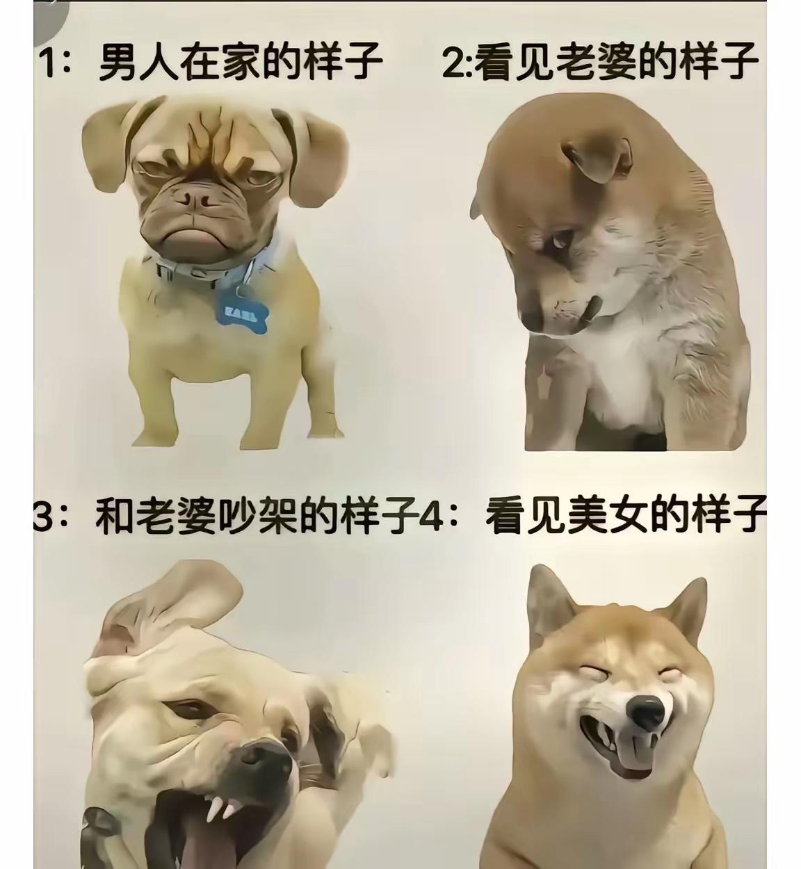 真是这样么[捂脸]