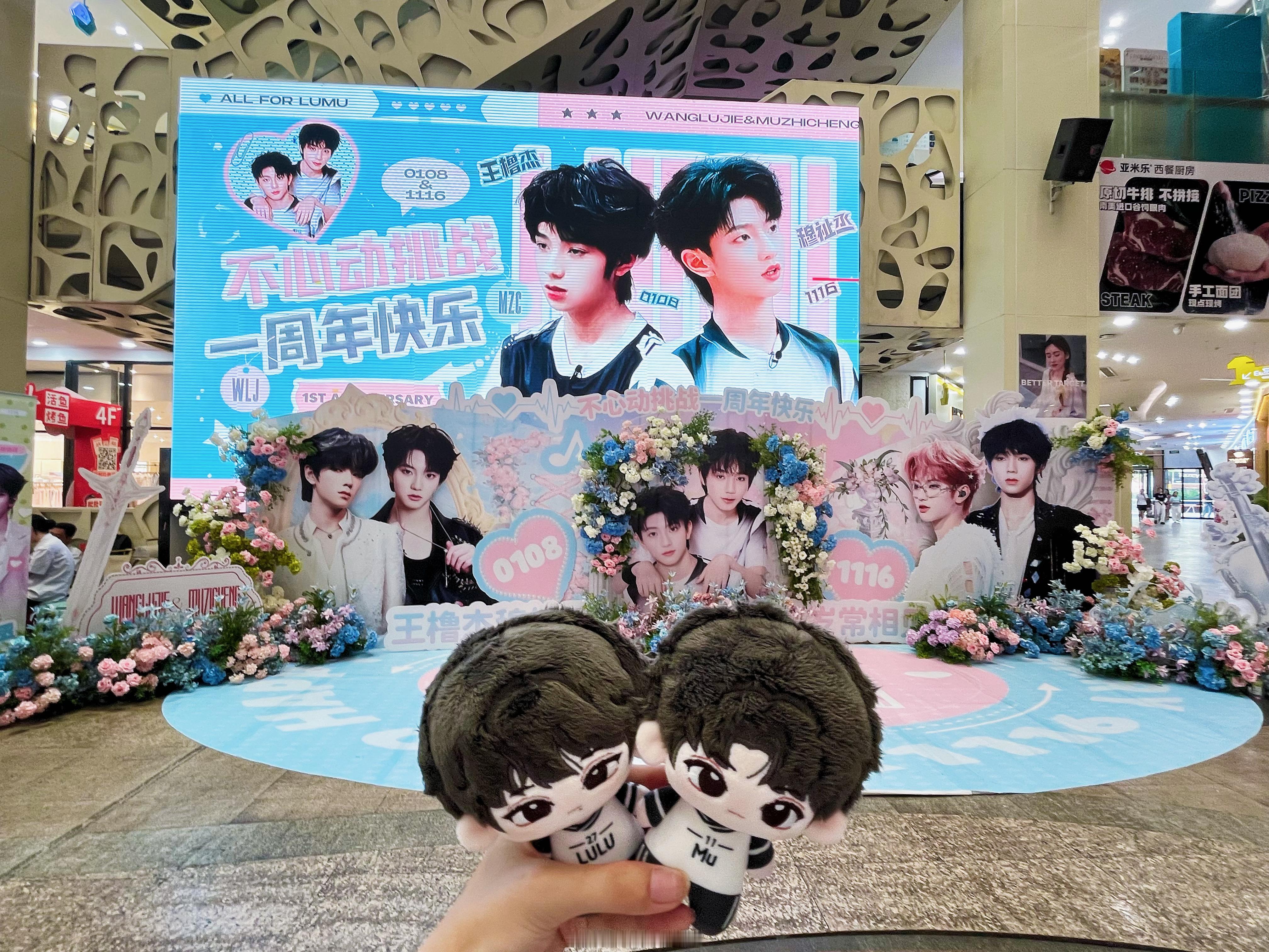 我要被萌晕了花墙巨美🥺 