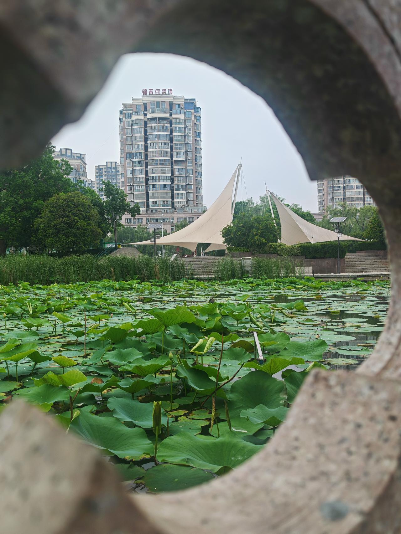 “另眼相看两不厌”让我想到“相看两不厌，只有敬亭山”。李白仕途不顺、晚年失意时，