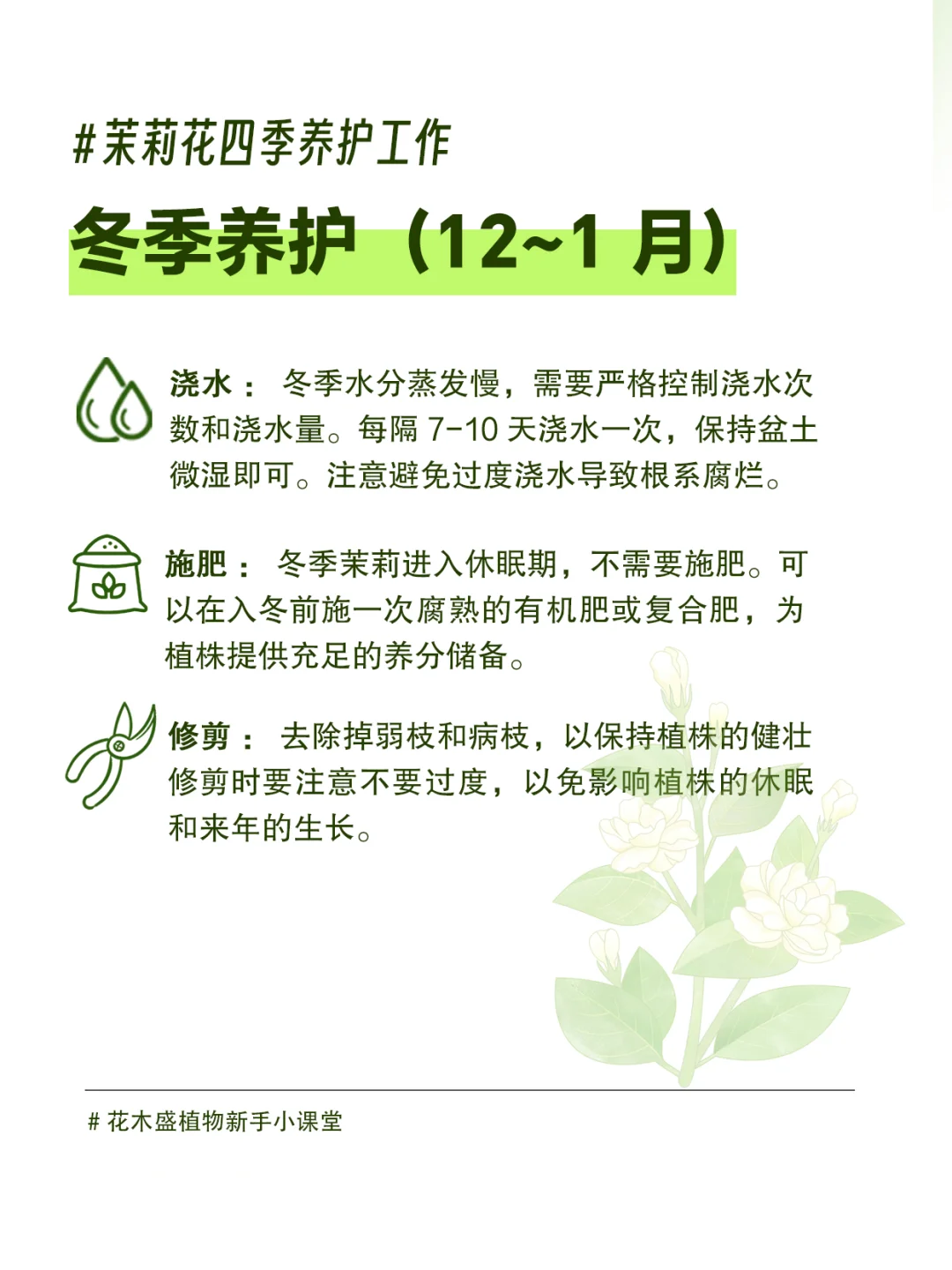 新手指南｜茉莉花四季养护攻略，干货满满！