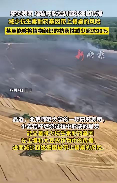 谁能想到？曾经因“制造雾霾”被严令禁止、农民烧了就得挨罚的秸秆焚烧，现在居然爆出