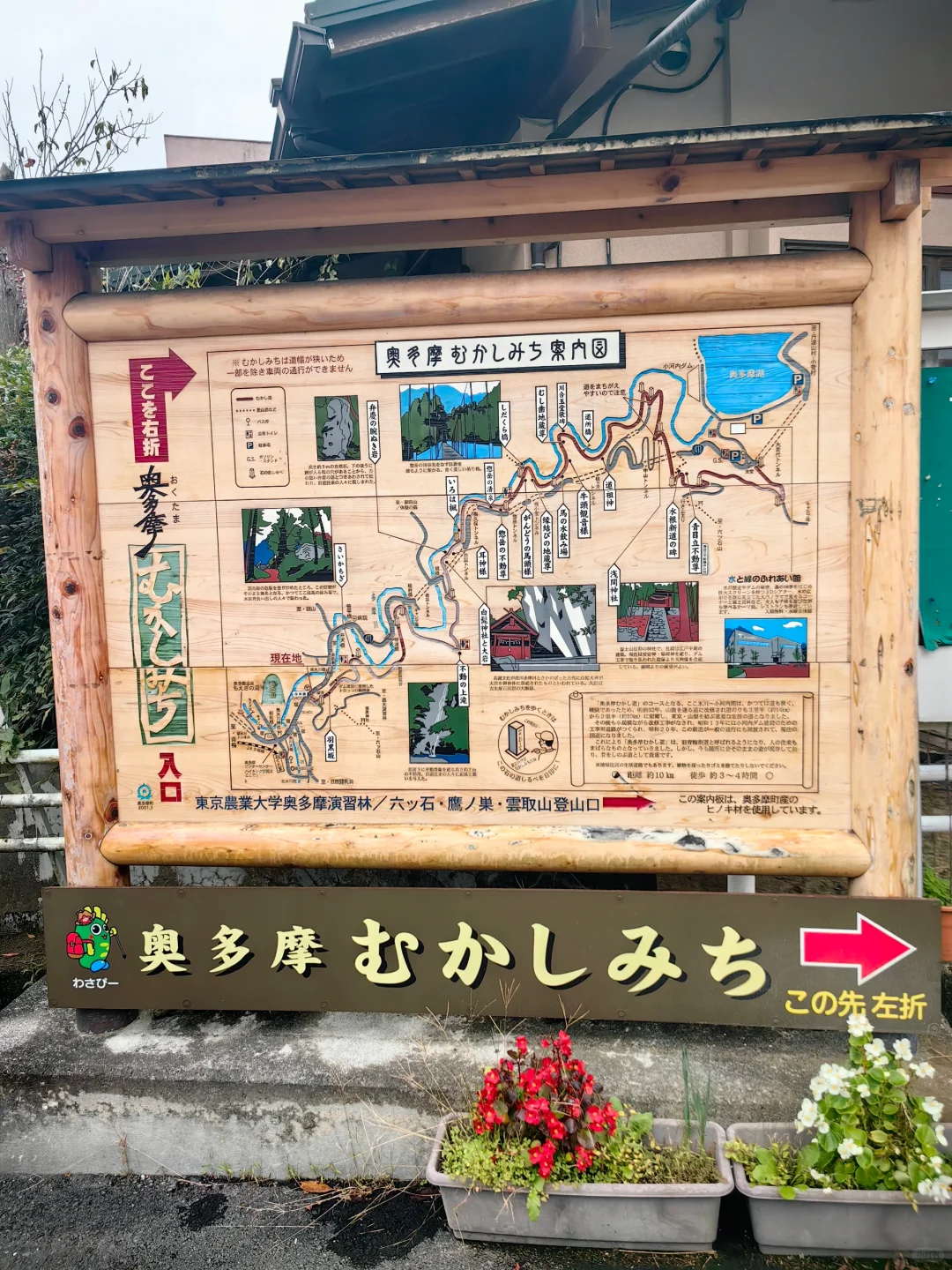 打卡日本山 | 云取山 - 真的可以取到云