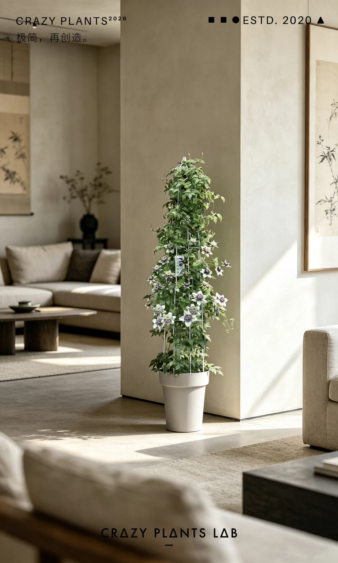 新幻紫 | 把Monet's Garden搬进客厅