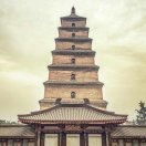 香娃娃爱谈科技