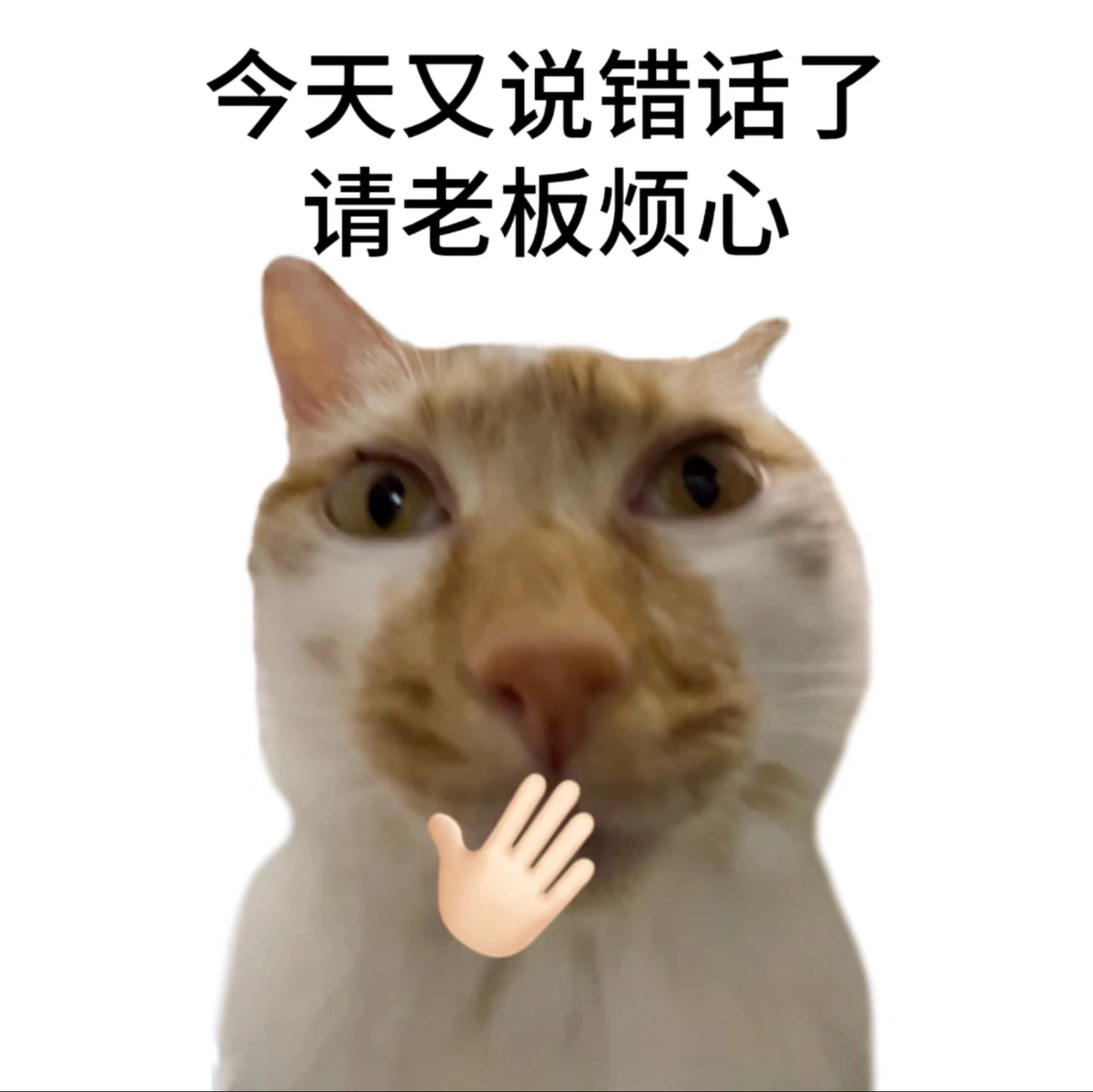 事情交给我您就操心吧